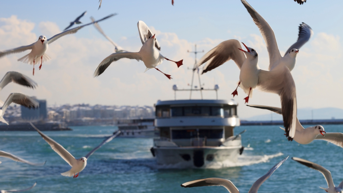 7 Days Special Istanbul City Tour photo 4