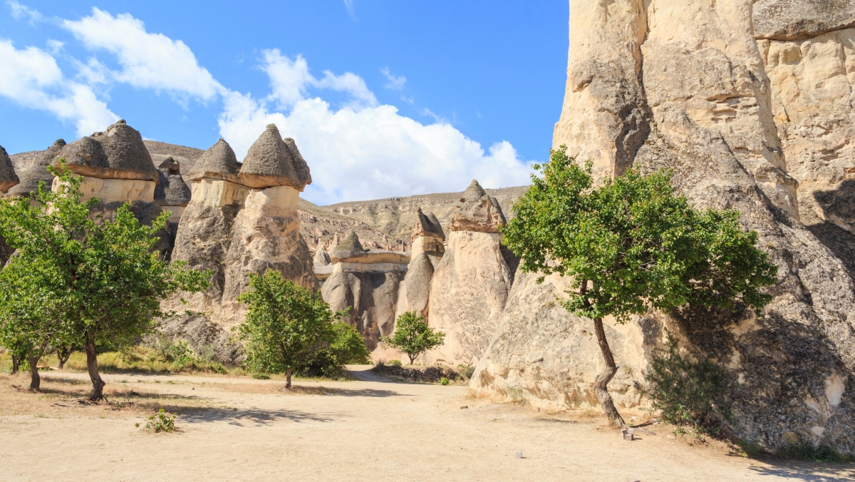 Turkish Delight Tour 7 Day photo 7