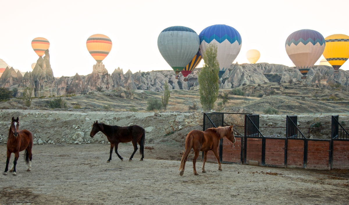 Full Day Guided Tour Cappadocia to Istanbul 7 Day photo 1