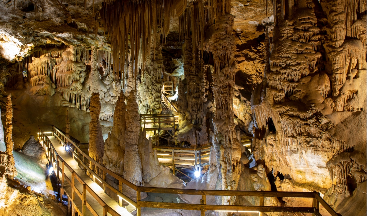 7 Days Black Sea Northeast Turkey Tour photo 2