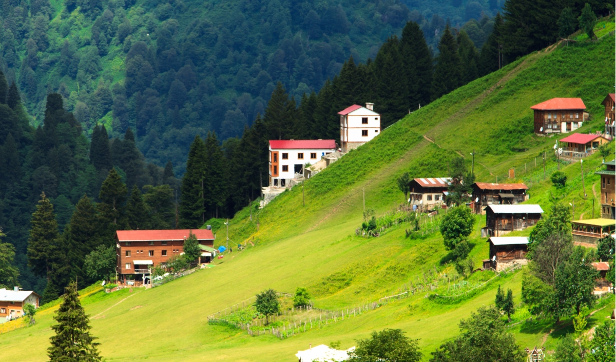 7 Days Black Sea Northeast Turkey Tour photo 4