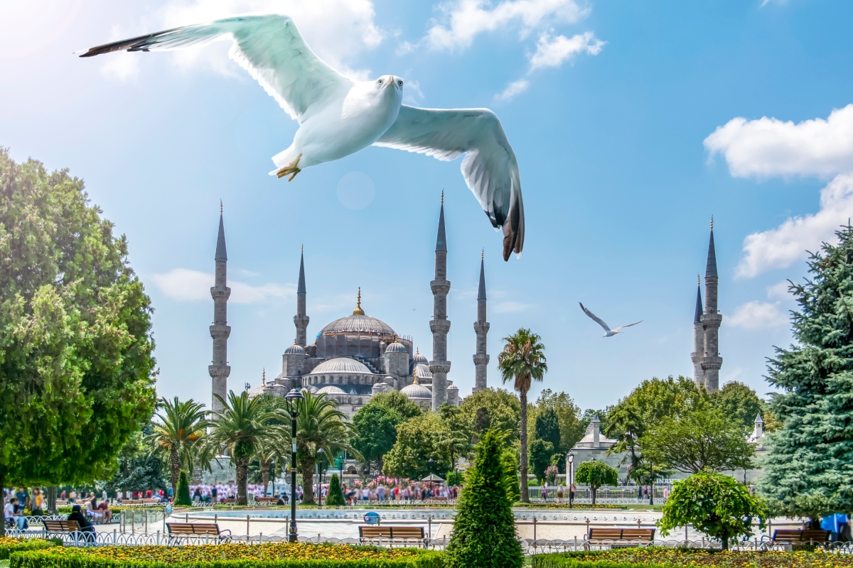 28 Days Complete Turkey Tour photo 2