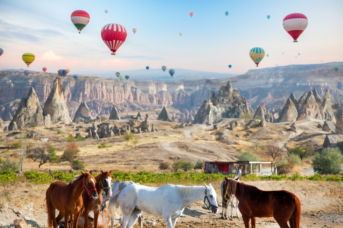 28 Days Complete Turkey Tour photo 8