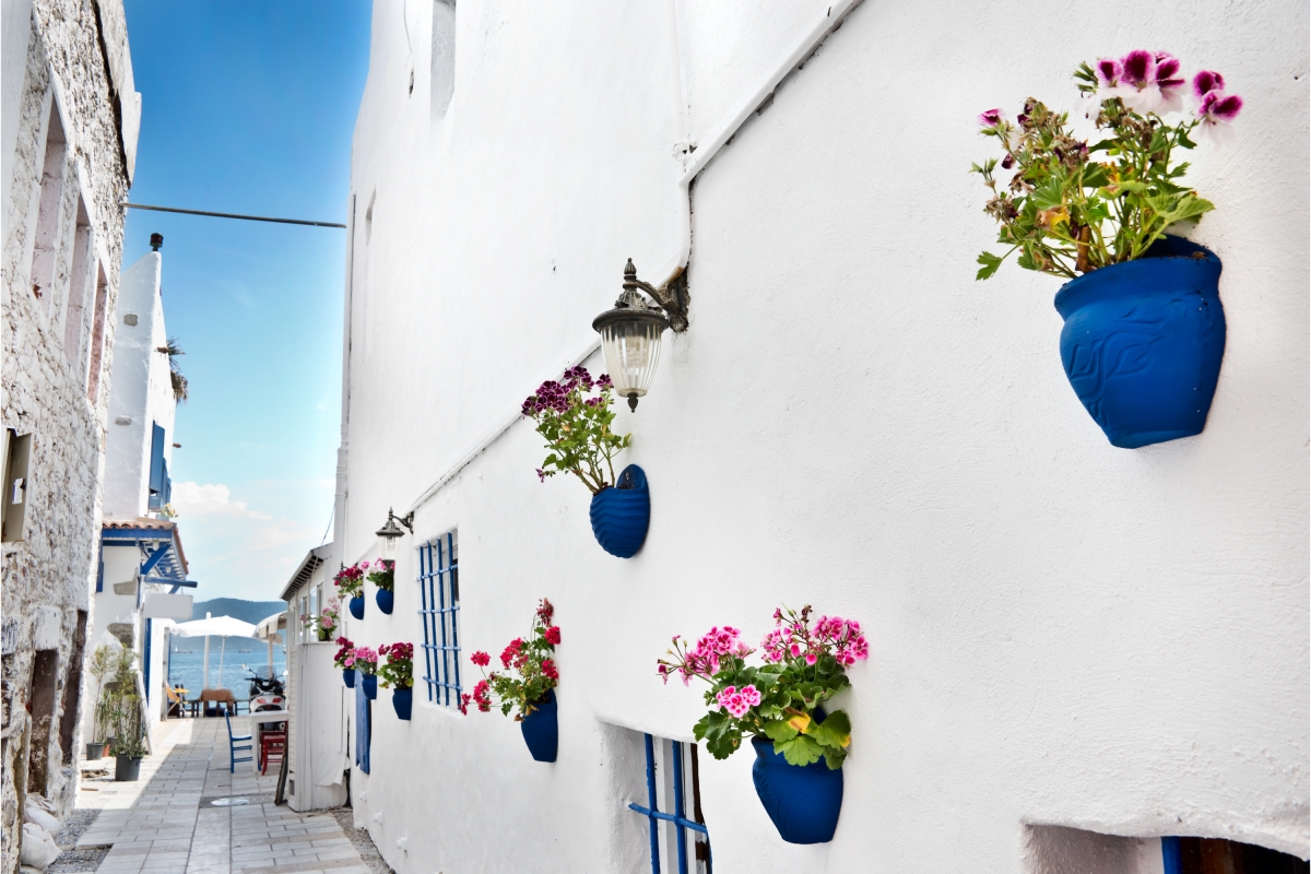 7 Days Bodrum Aegean Holiday photo 9