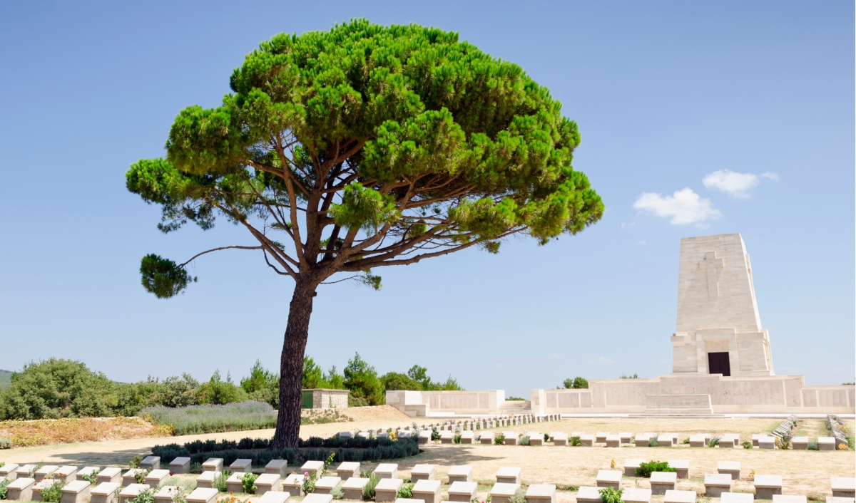 Turkey Tour Packages 10 Days photo 7