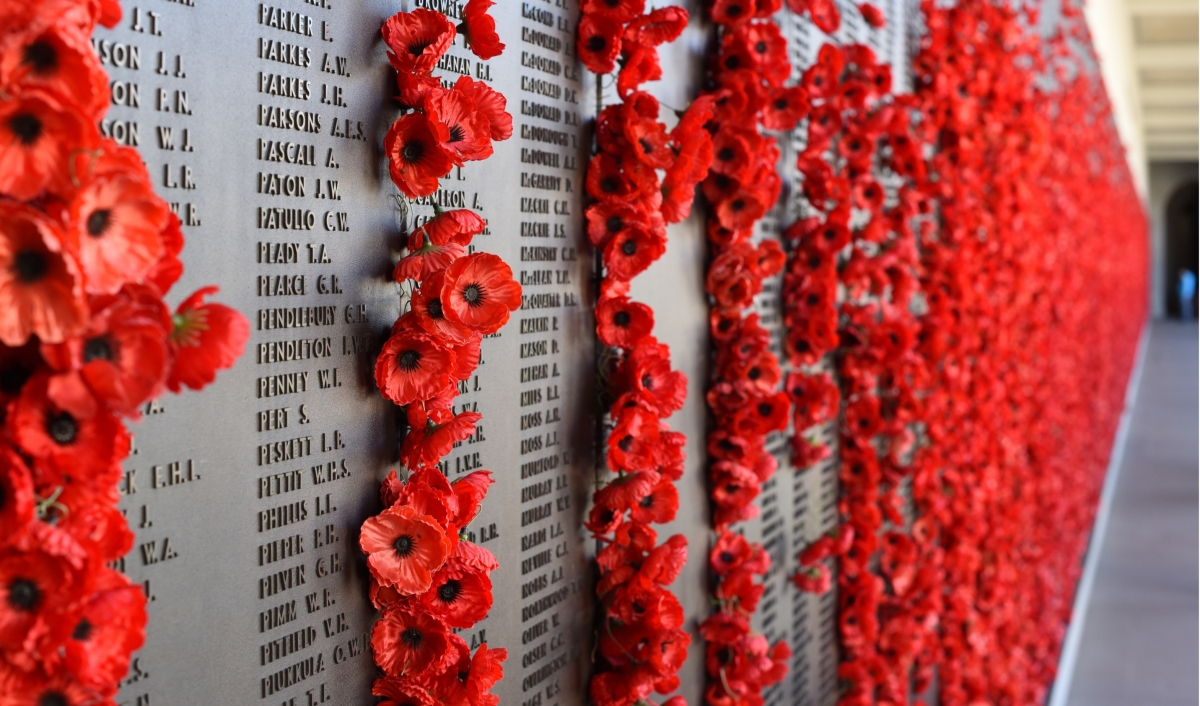 12 Days Luxury Gold Anzac Day Tour photo 1