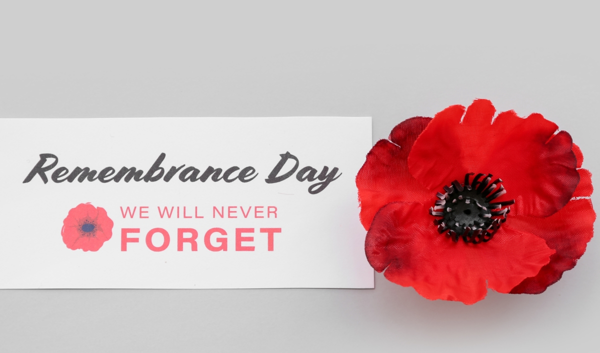 14 Day Luxury Gold Anzac Day Tour photo 1
