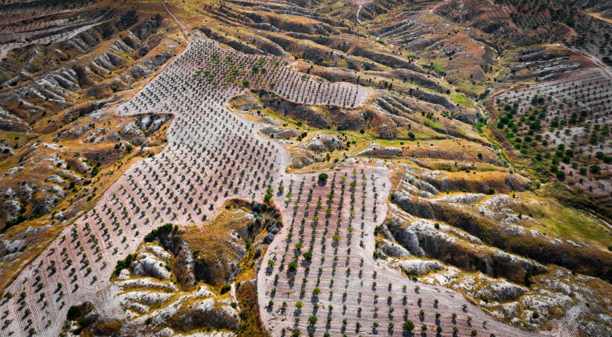Turkey 6 Days World Day Combat Desertification Tour photo 4