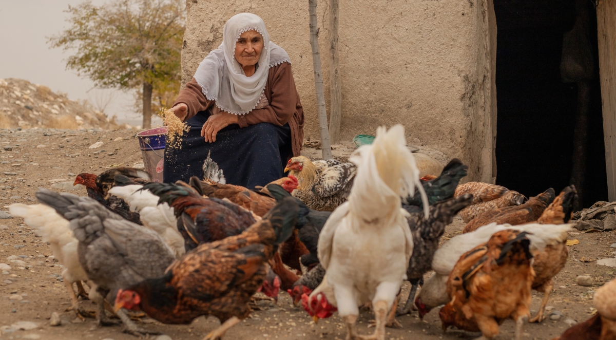 8 Days South Anatolia Tour photo 1