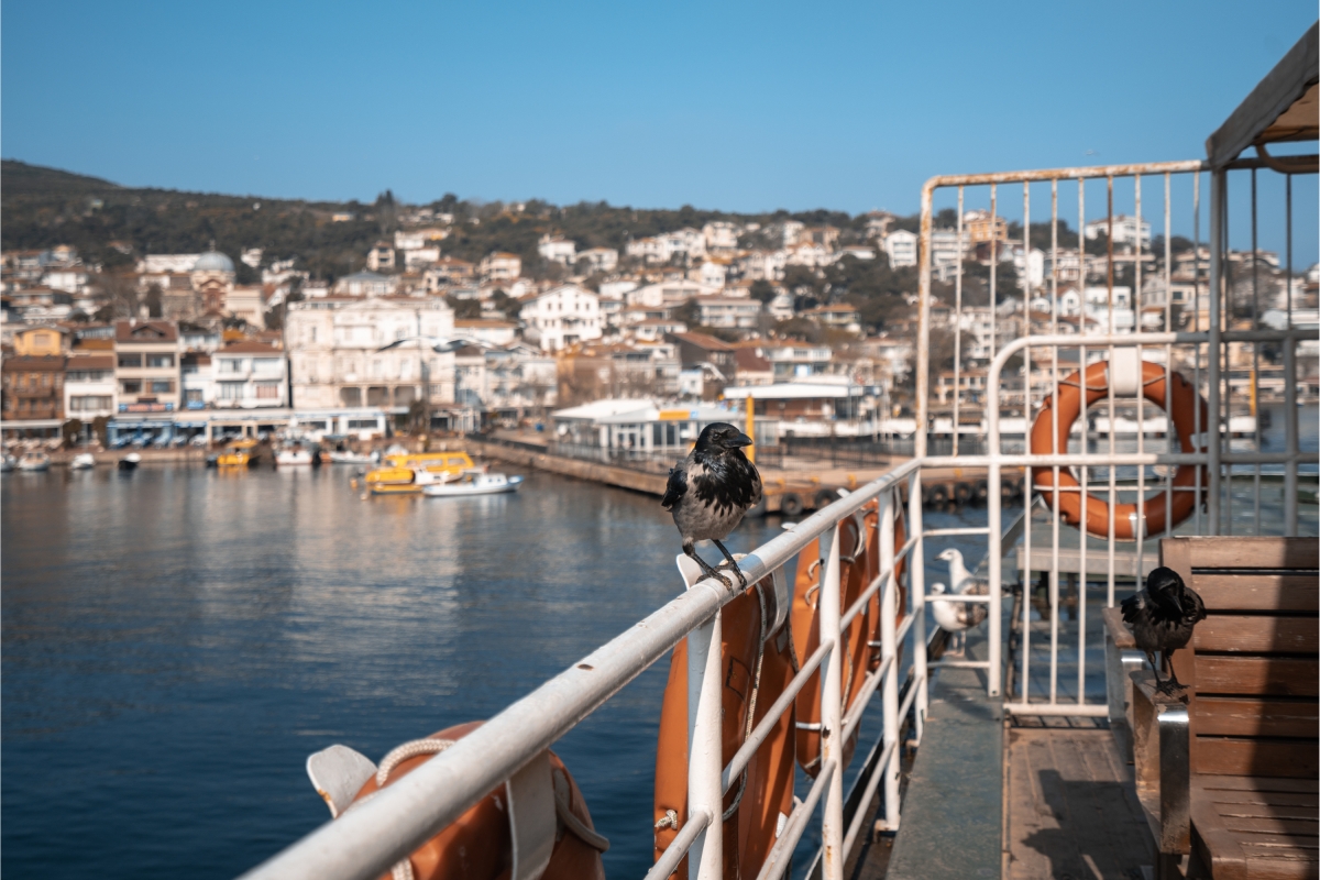 Pearls of Turkey 7 Nights 8 Days photo 3