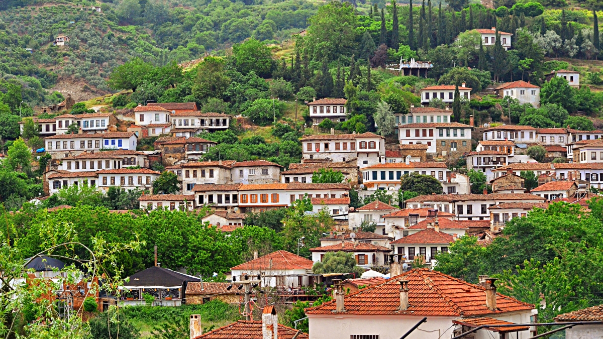 Explore Turkey: 12-Day Private Istanbul, Kusadasi, Bodrum & Fethiye Tour photo 8