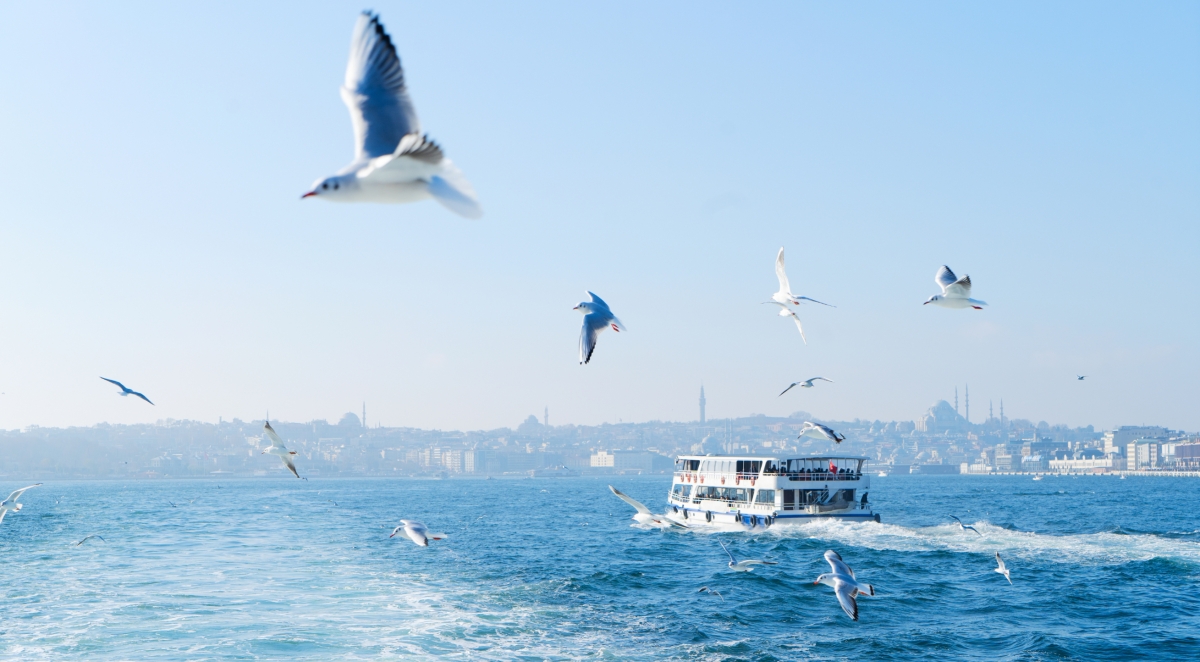 Turkey Travel Package: Istanbul, Kusadasi, Pamukkale & Cappadocia 8 Day Tour photo 10
