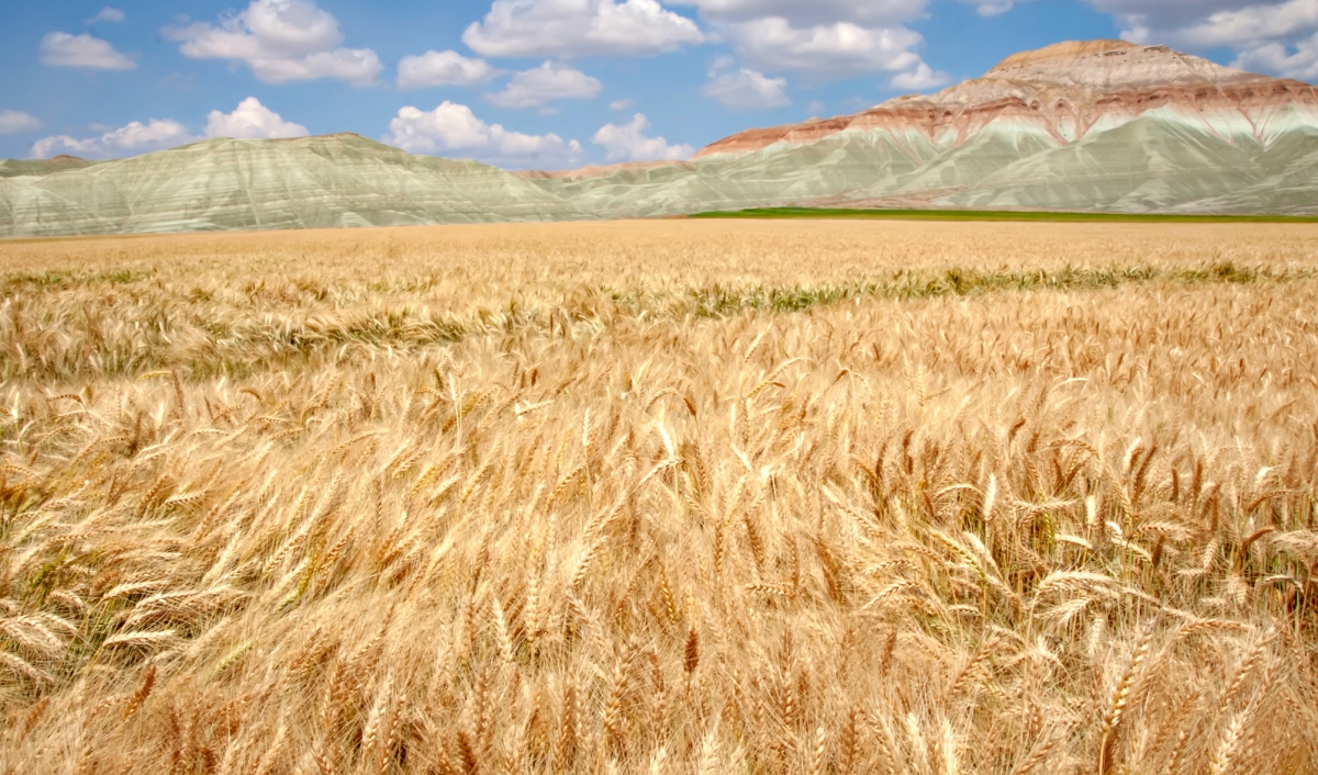 Beypazari Sightseeing Tour photo 5
