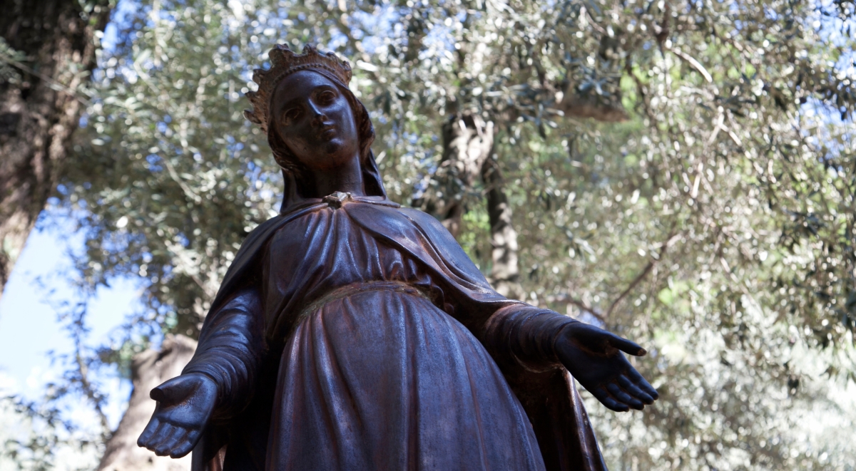 Daily Ephesus & Sirince Village Tour from Ankara photo 8