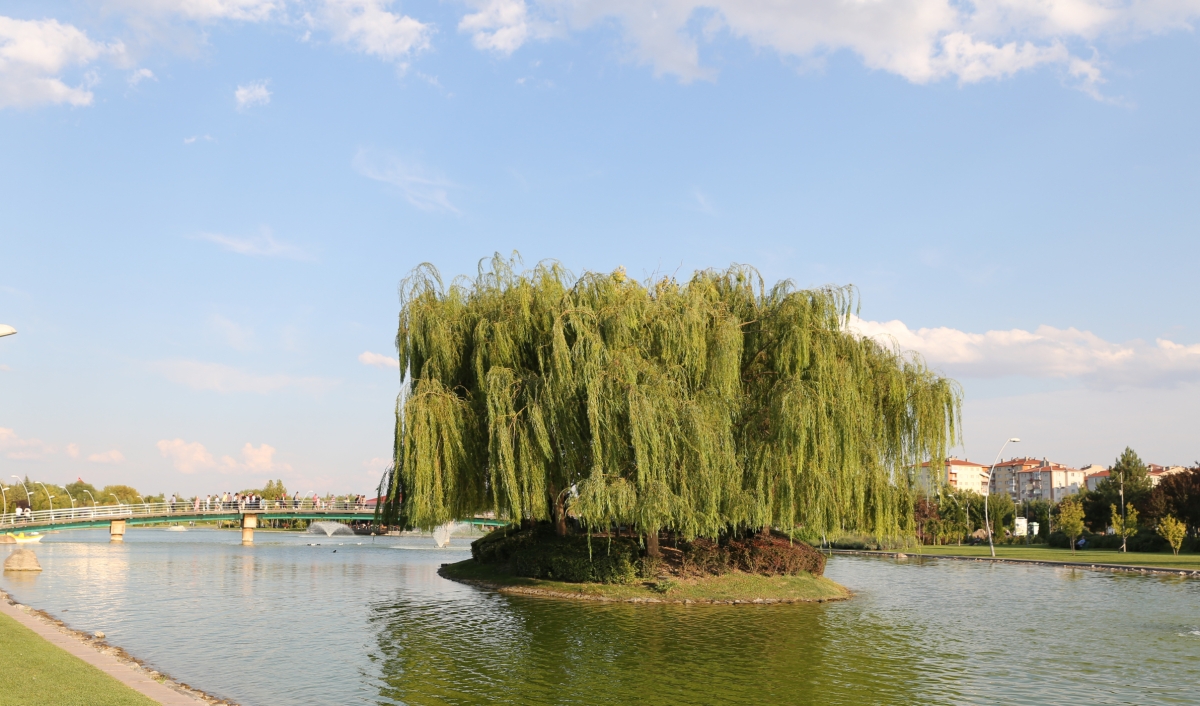Daily Ekisehir City Tour from Ankara photo 5