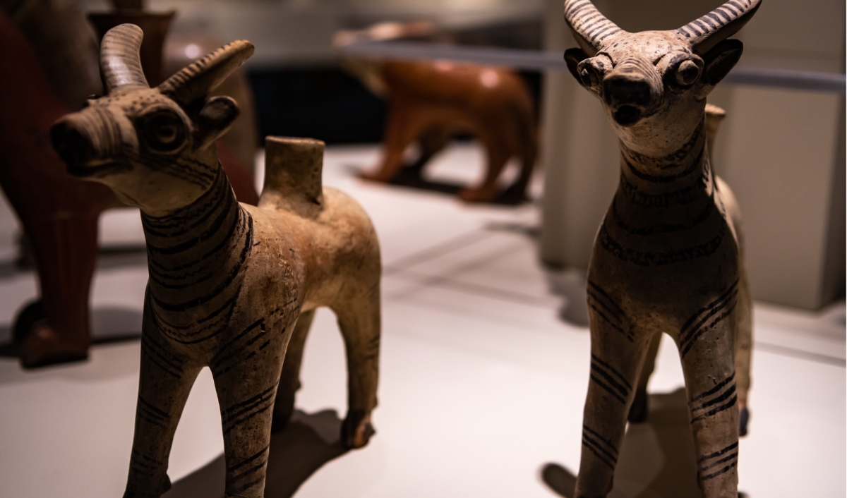 Ankara Highlights: 4 Days of History and Culture Tour photo 3