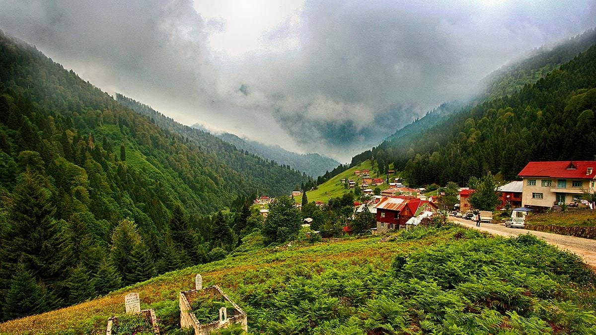 Ayder Escape: Waterfalls, Forests & Fresh Air photo 2