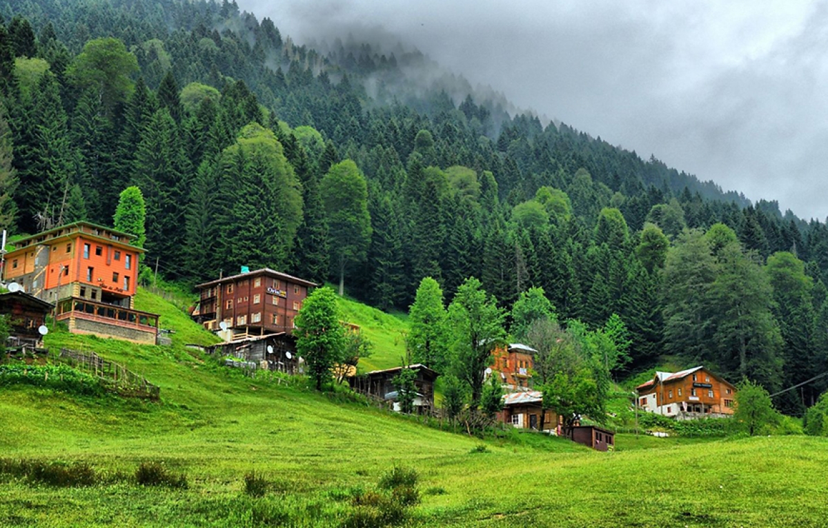 Ayder Escape: Waterfalls, Forests & Fresh Air photo 1