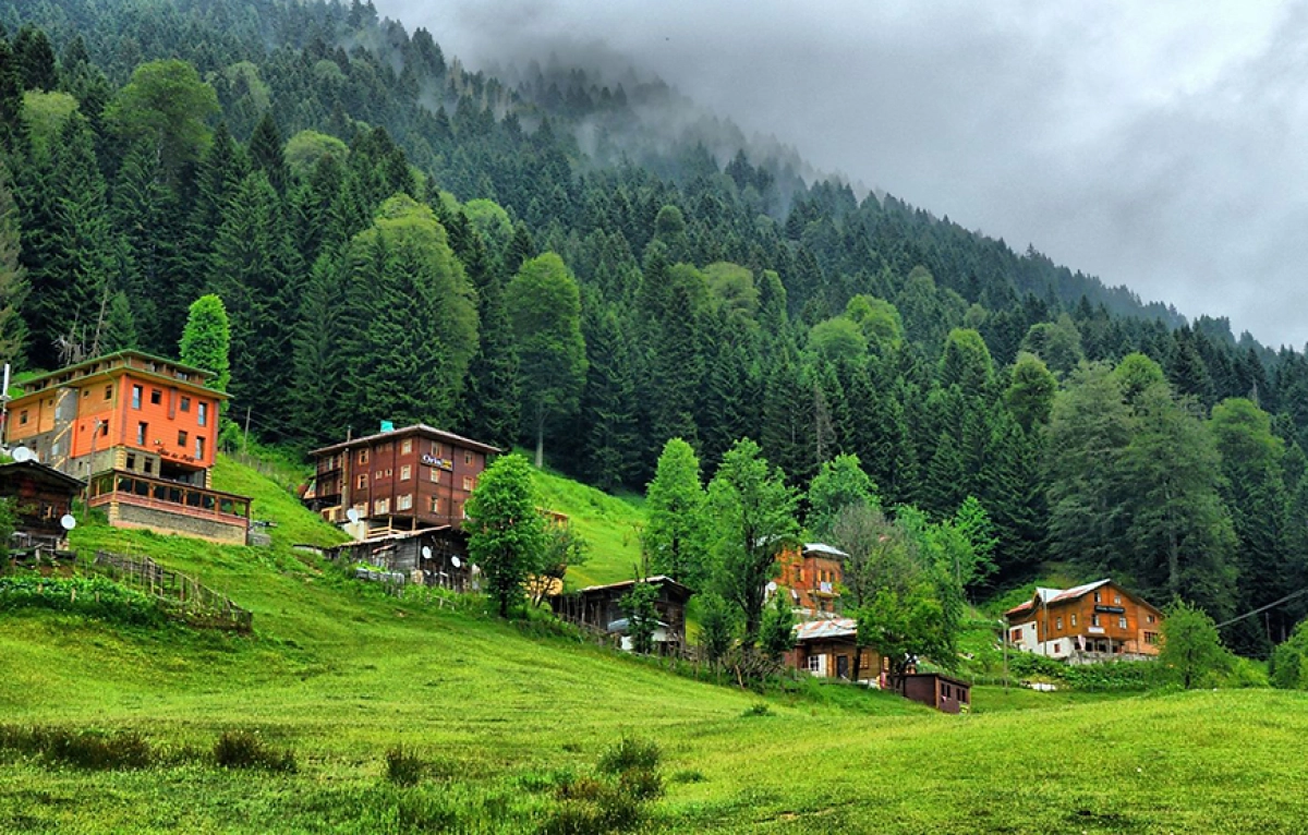 Ayder Escape: Waterfalls, Forests & Fresh Air