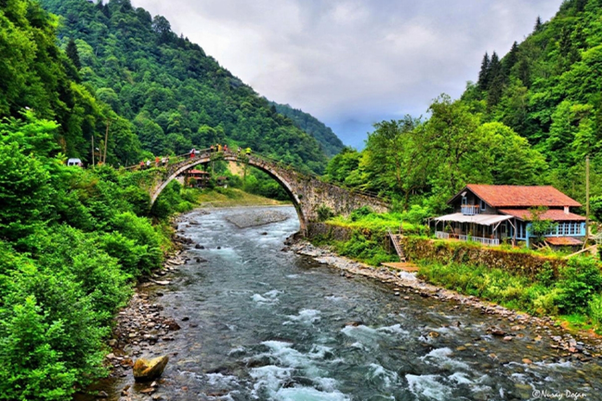 Ayder Escape: Waterfalls, Forests & Fresh Air photo 3