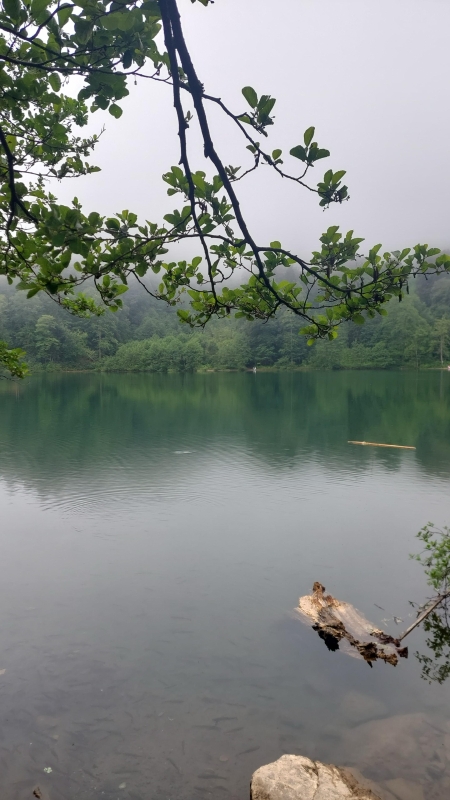 Daily Borçka Karagol Tour photo 2