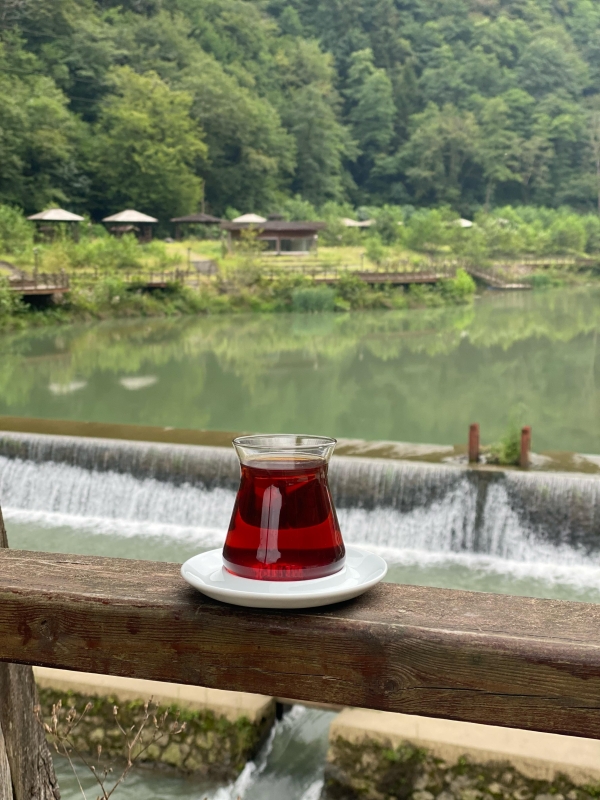 Daily Tour to Uzungöl - Discover the BlackSea photo 6