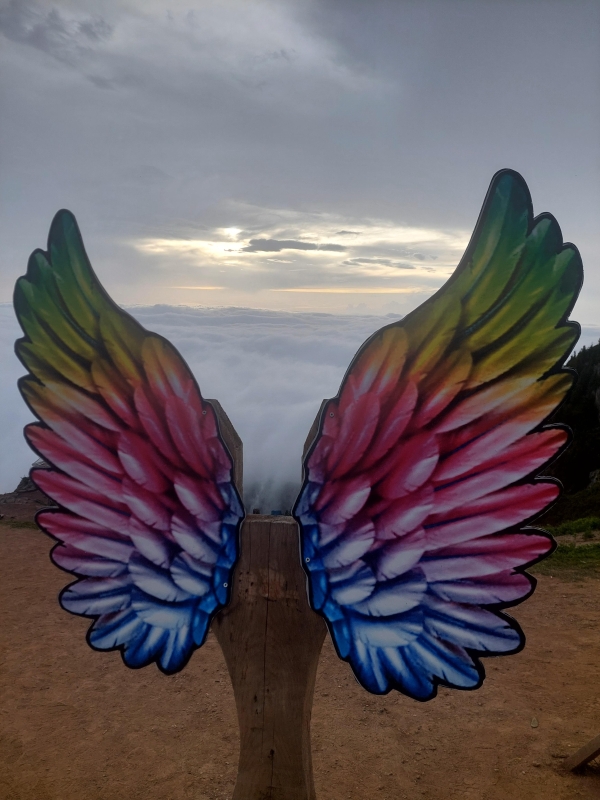 Daily Huser & Avusor Highlands Tour photo 5