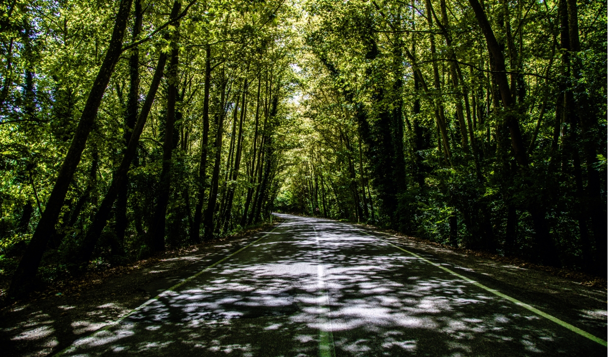 7-Day Istanbul, Golcuk Lake, Abant, Amasra, Bartın, Safranbolu, Karabük, Bolu & Mudurnu Tour photo 5