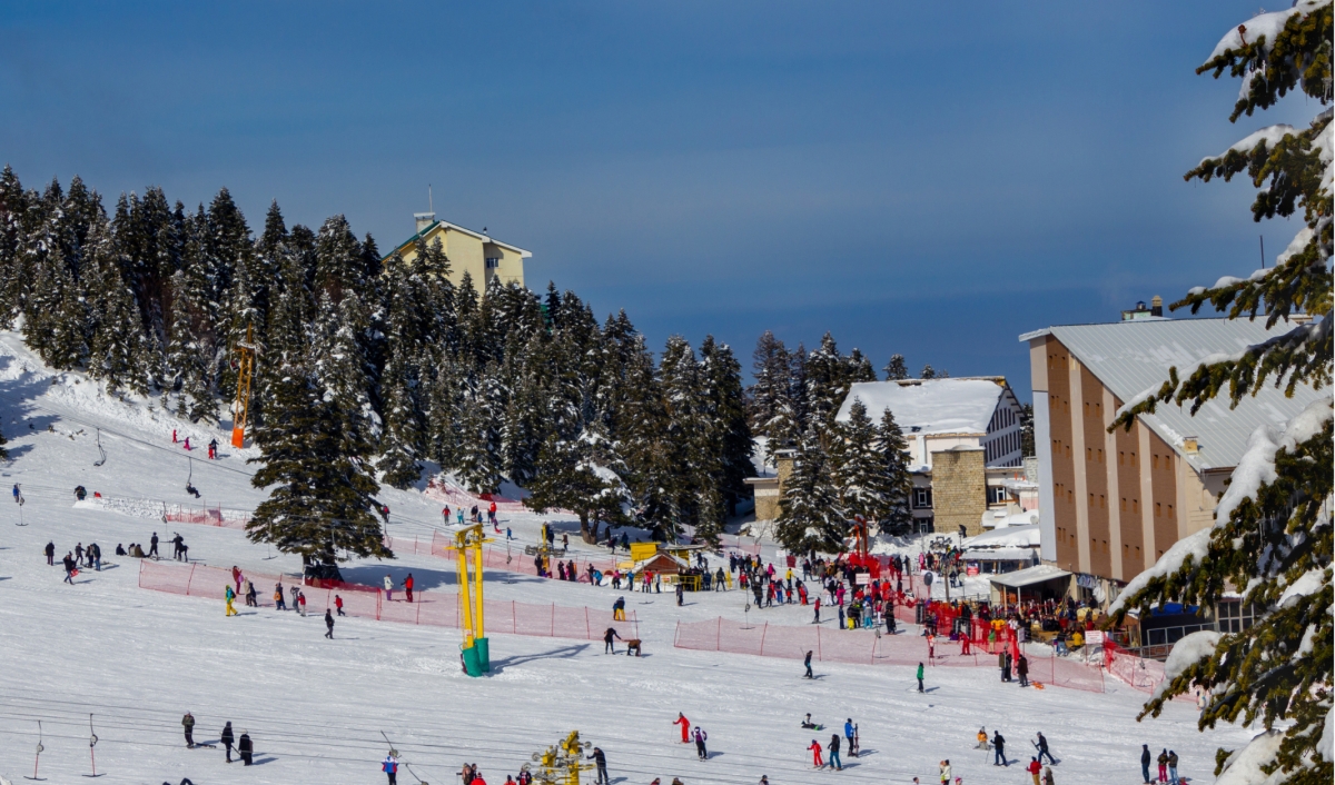 9 Day Relaxing Turkey Tour: Istanbul, Masukiye , Sapanca, Uludag , Bursa & Yalova photo 5