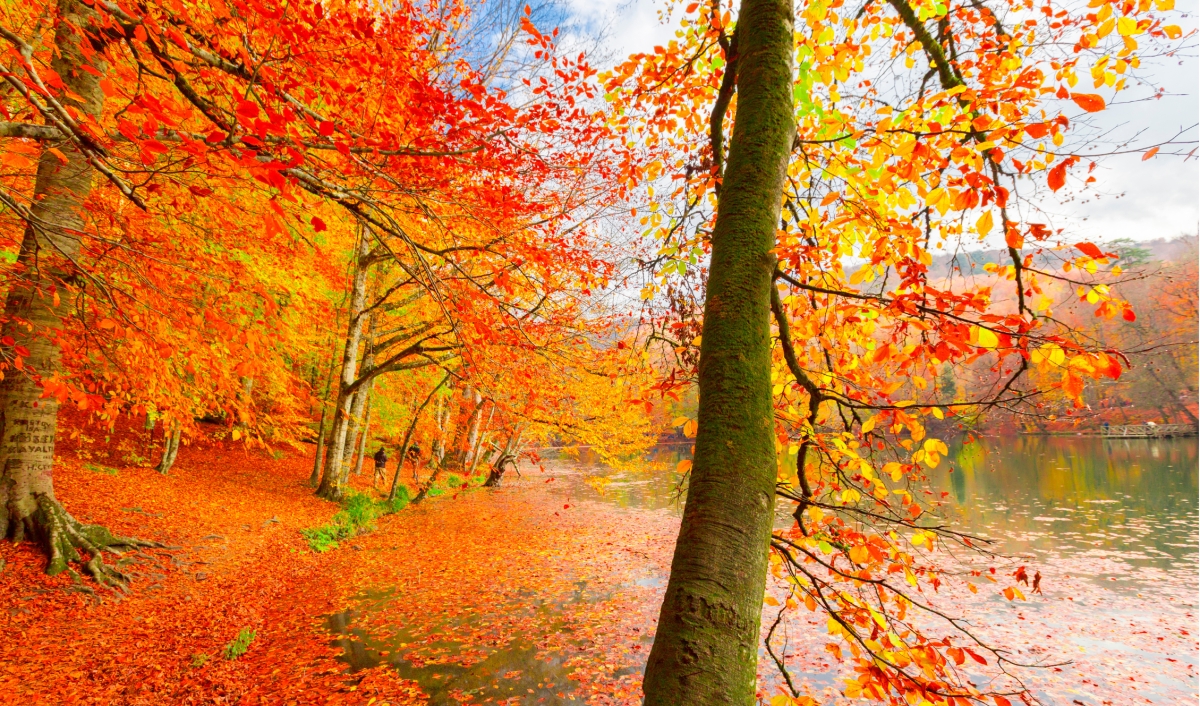 Explore Istanbul, Yalova, Sapanca & Bursa in 9 Days photo 2