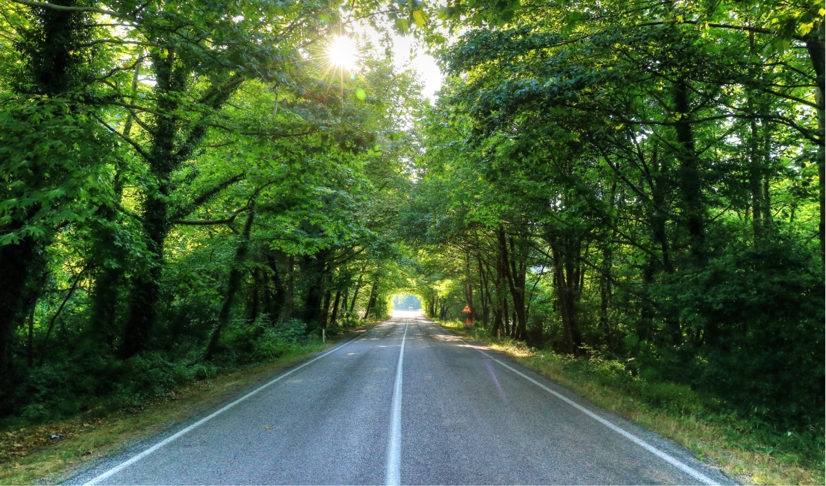 11 Day Black Sea Tour Istanbul Safranbolu Amasra Kastamonu Sinop Samsun Trabzon photo 5