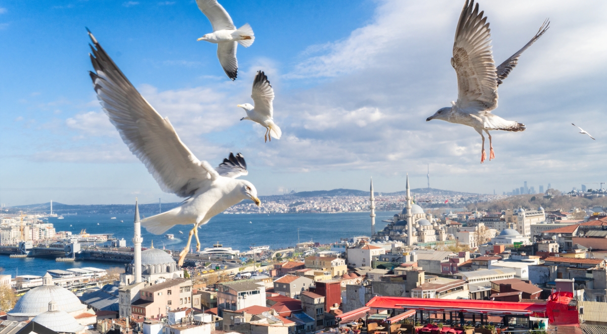 Explore Turkey in 14 Days – Tailored Tour for Indian Travelers photo 9