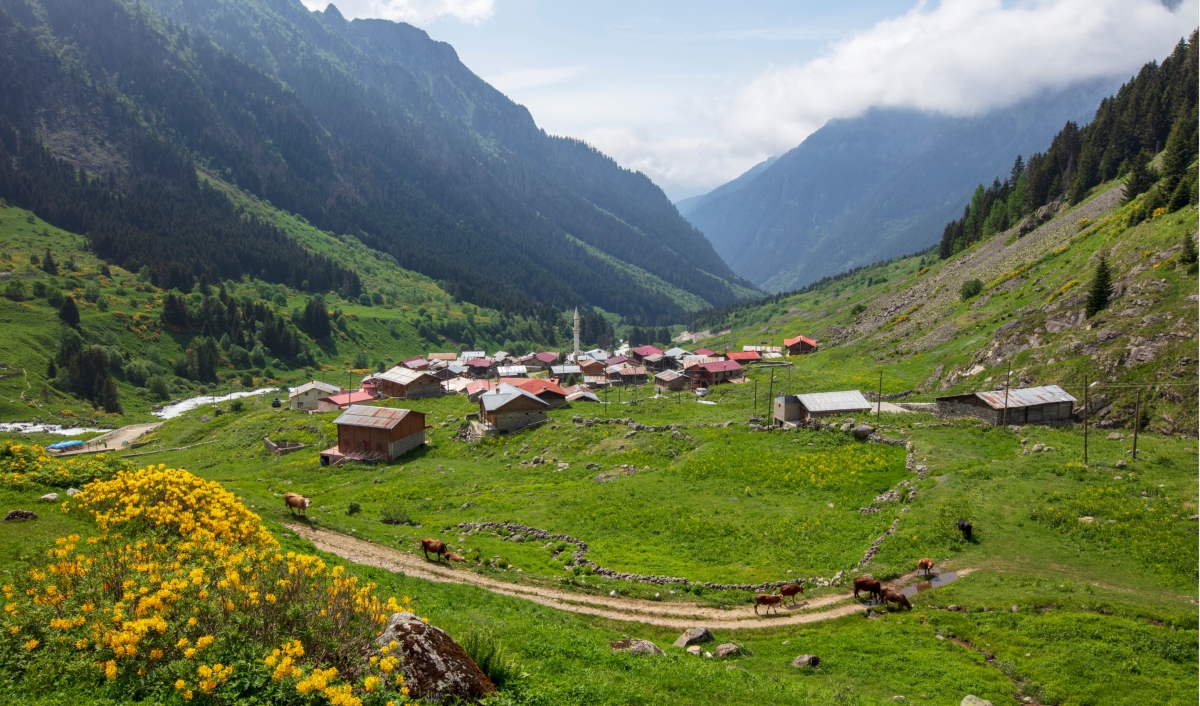 A Getaway in the Heart of Eastern Black Sea 2 Day Elevit Plateau Tour photo 4