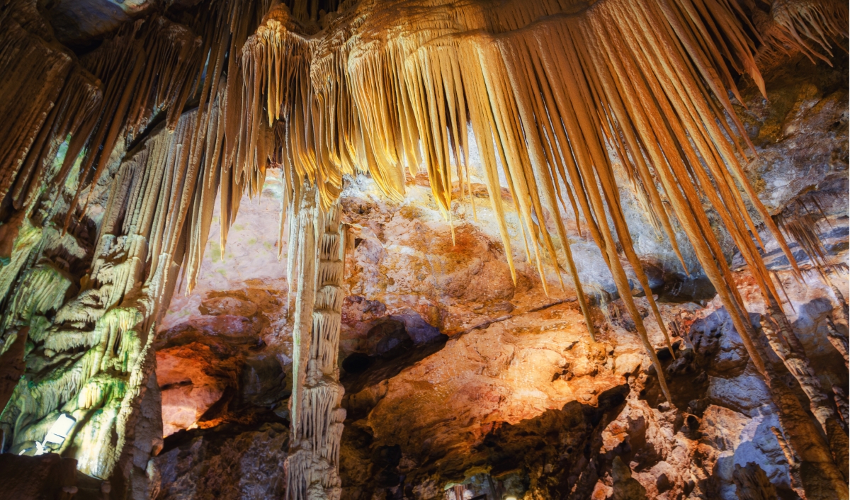 5 Day Guided Istanbul and Trabzon Tour: Bosphorus, Uzungöl & Sumela Monastery photo 3