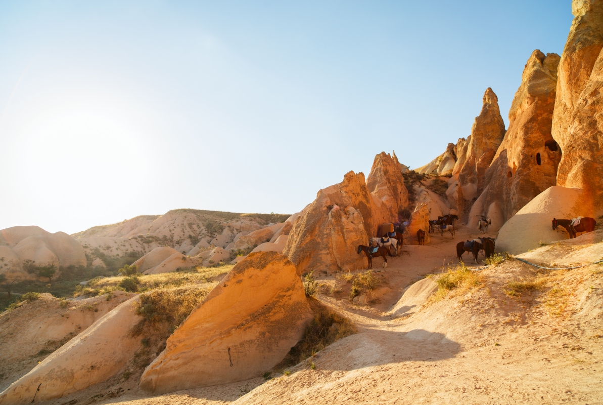 15 Day Turkey & Greece Hıghlıghts Combıned Guaranteed Departure Tour photo 4