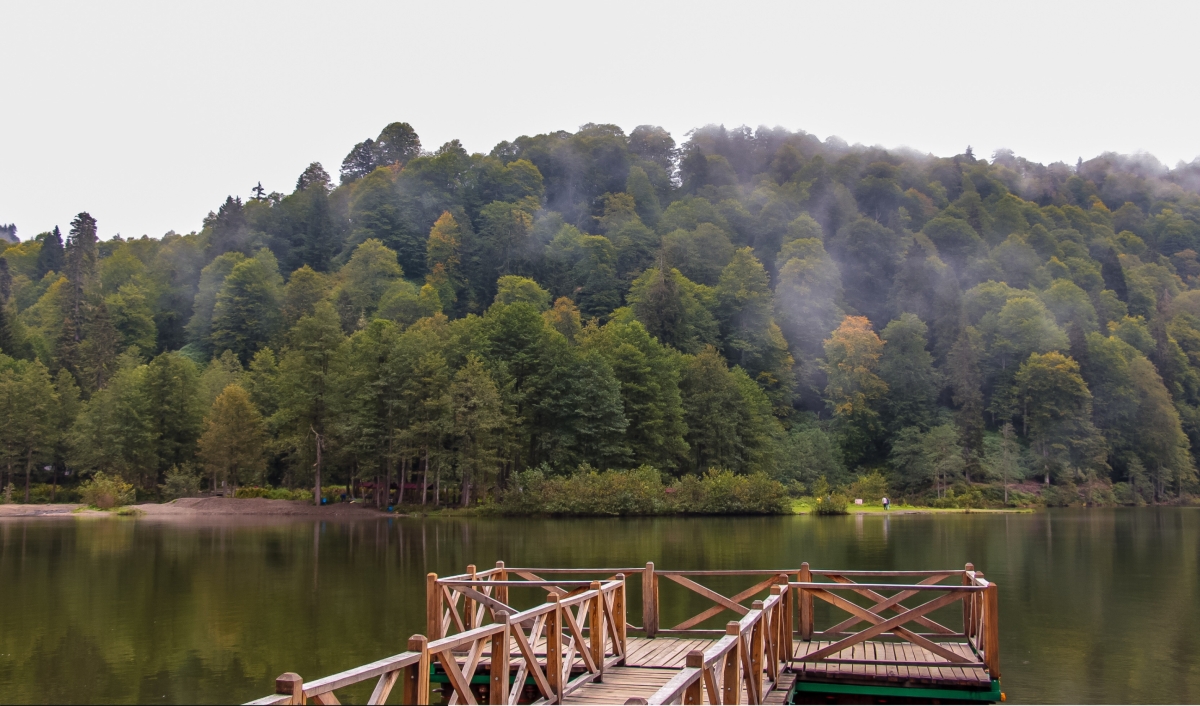 Black Sea & Istanbul Explorer: 12 Day Cultural Odyssey photo 7