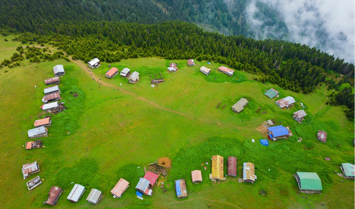 Eastern Turkey & Black Sea Highlights: 7-Day Trabzon, Ayder, Kars, Dogubeyazıt & Van Tour photo 6