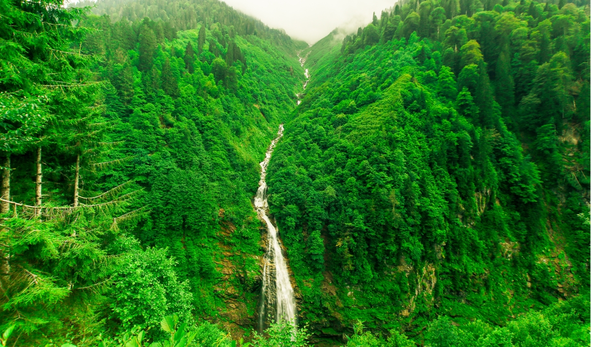 8 Day Turkey City & Coast Explorer: Istanbul, Ayder, Uzungöl & Bosphorus photo 4
