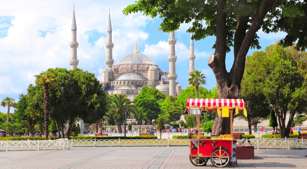 8 Day Turkey City & Coast Explorer: Istanbul, Ayder, Uzungöl & Bosphorus photo 9