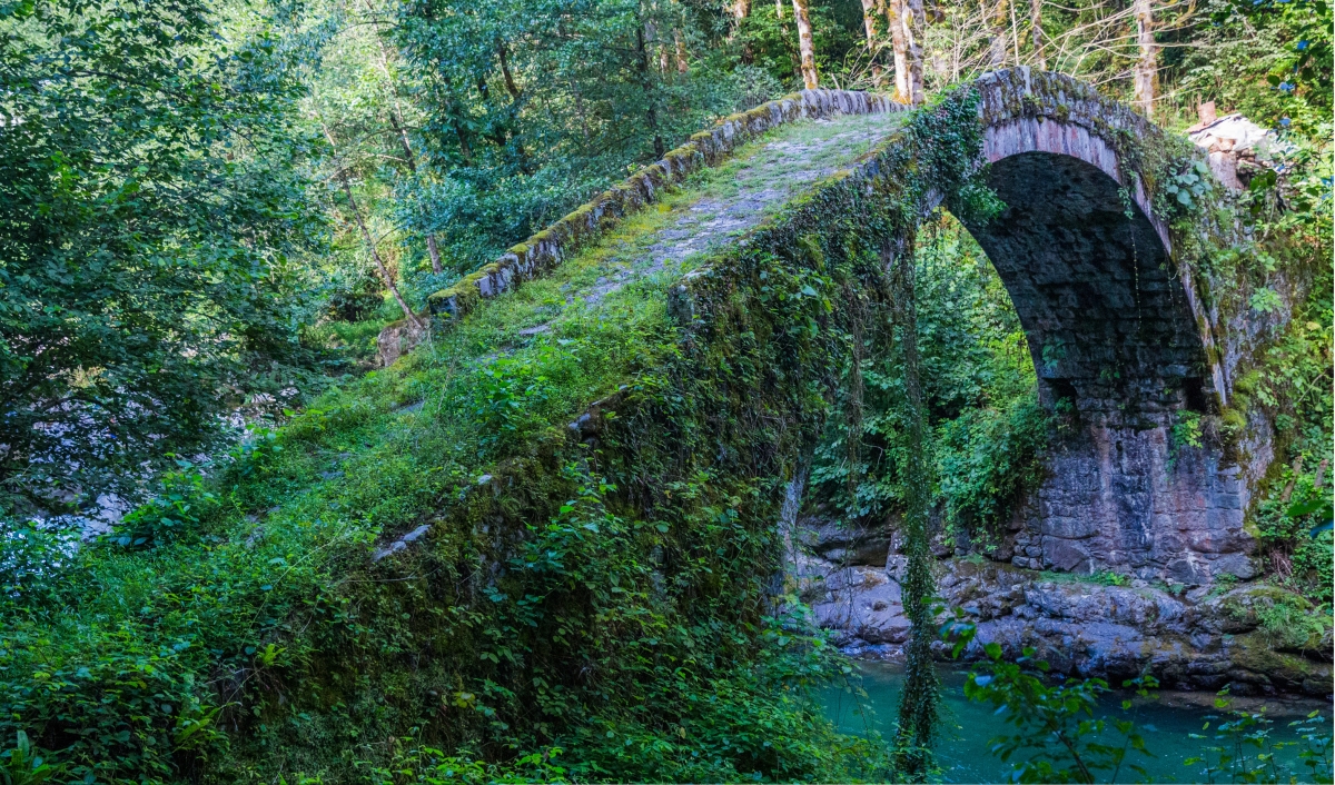 Turkey tour packages; 12 Days Istanbul & Trabzon & Uzungol & Bursa Holiday Package photo 6