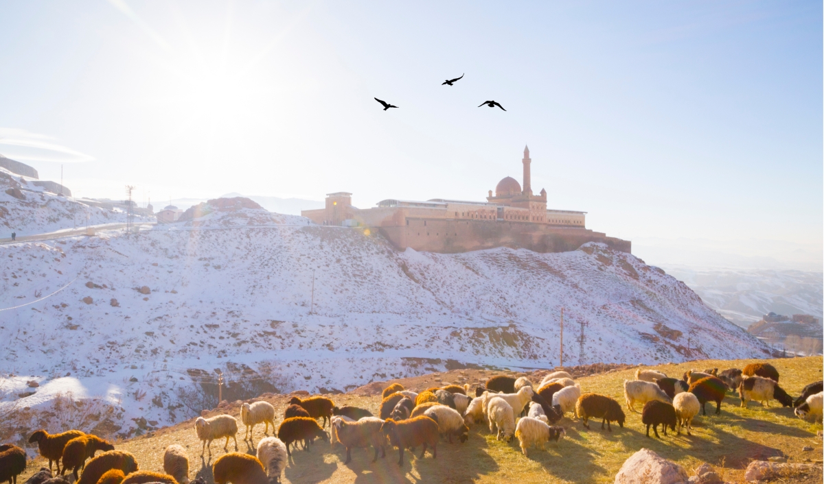 Black Sea Region and Eastern Turkey 13 days Tour photo 3