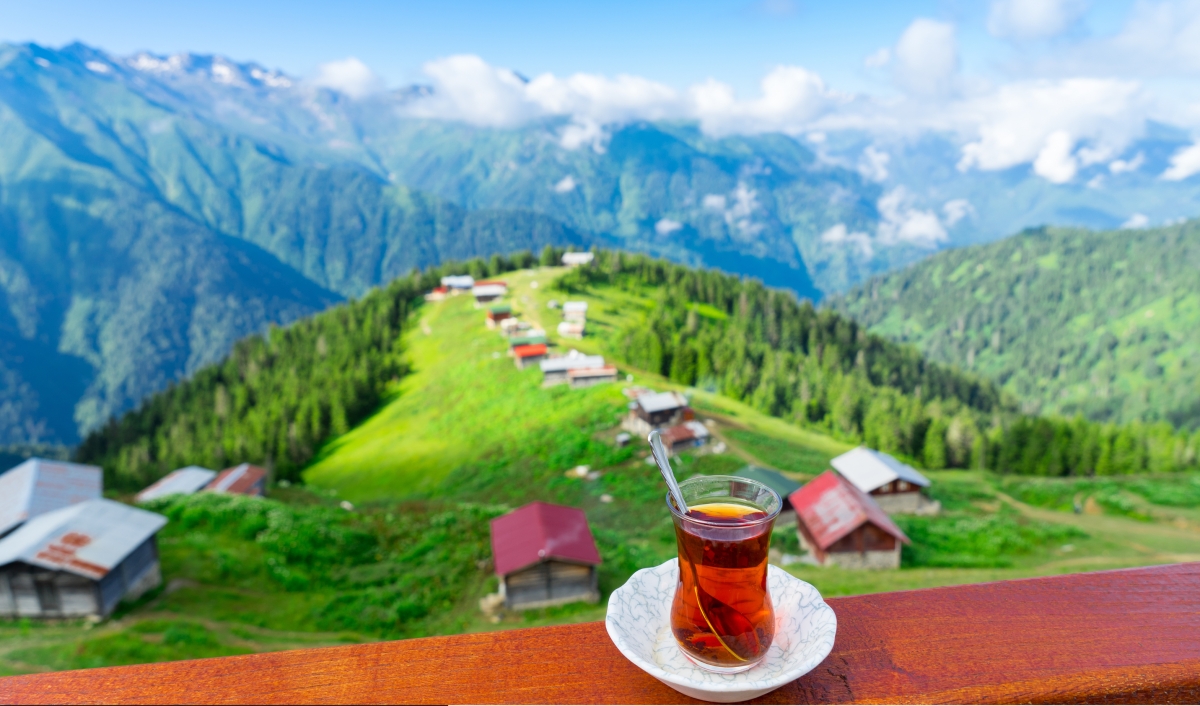Turkey Tour Packages 13 Day Istanbul Trabzon Ayder Plateau Uzungol Lake Pamukkale Ephesus Cappadocia photo 5