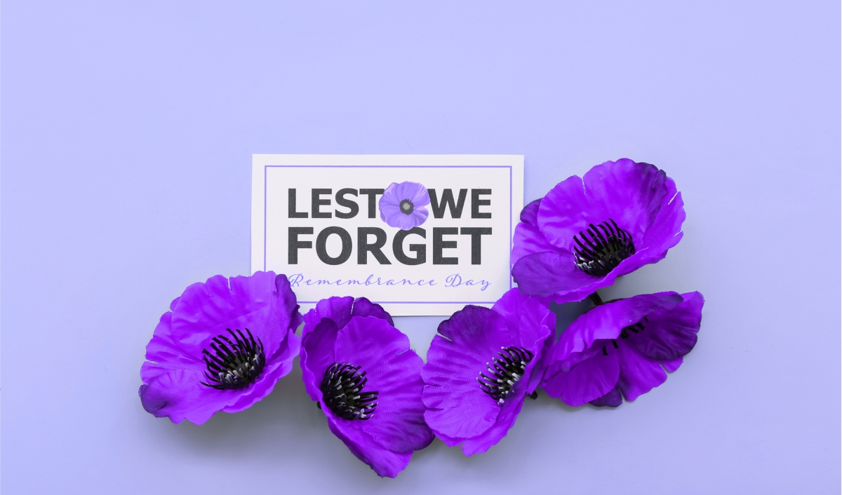 Private 8 Day ANZAC Day Memorial Tour: Istanbul, Gallipoli, Troy & Commemorative Services photo 1