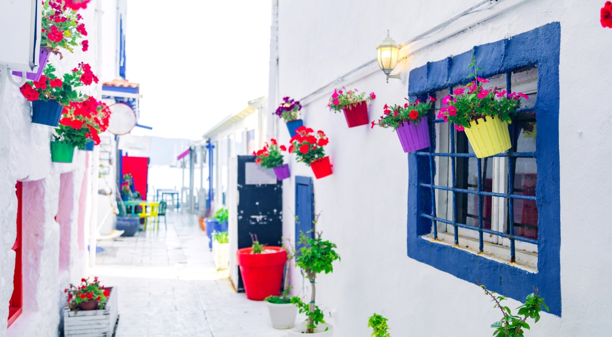 2 Days Bodrum Tour from Ankara photo 6