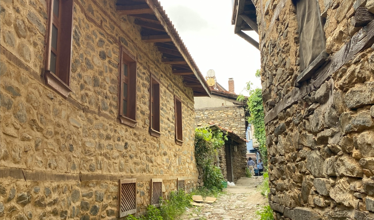 Daily Cumalikizik Ottoman Village Tour from Istanbul photo 2