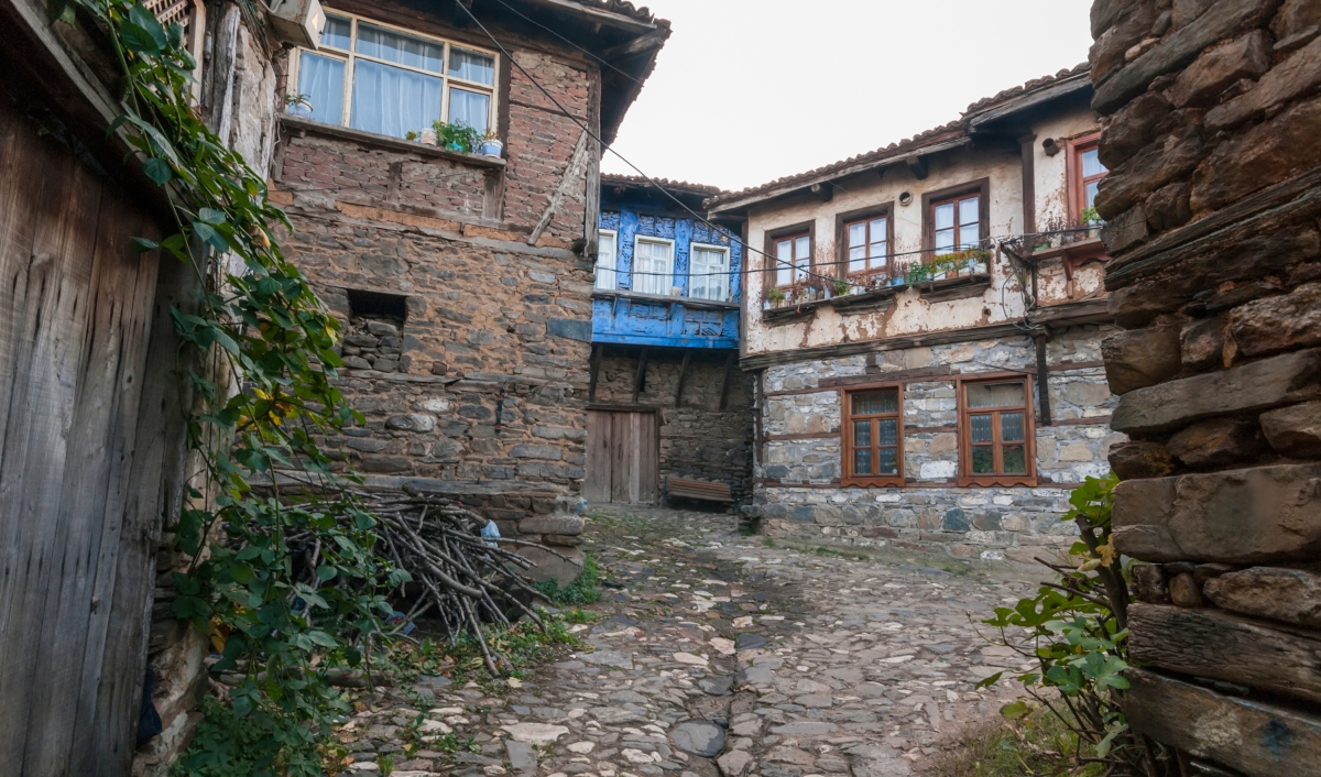Daily Cumalikizik Ottoman Village Tour from Istanbul photo 3