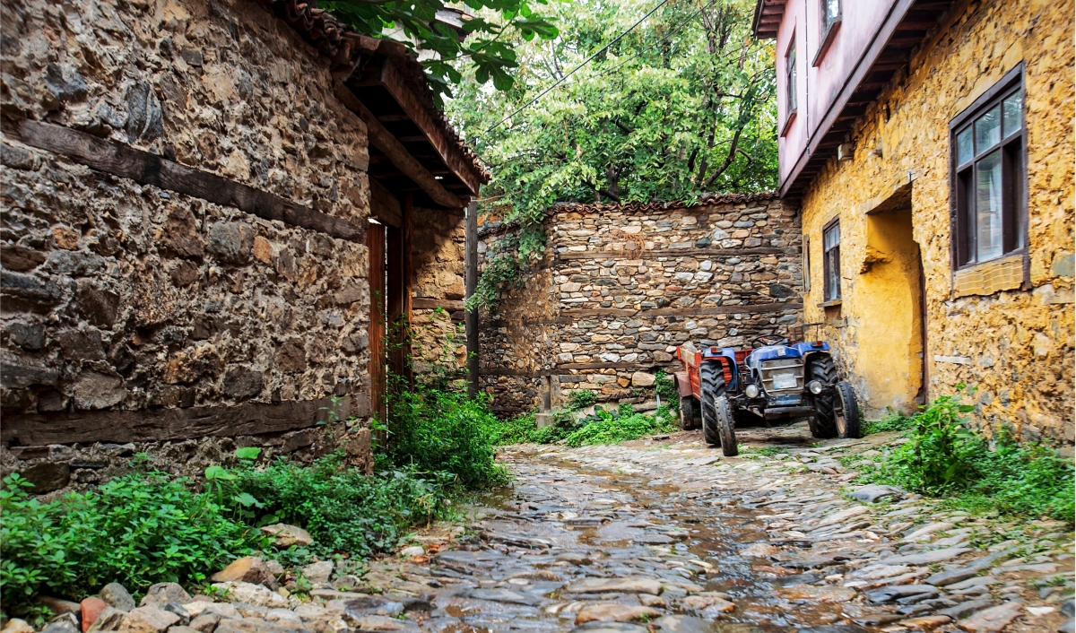 Daily Cumalikizik Ottoman Village Tour from Istanbul photo 4