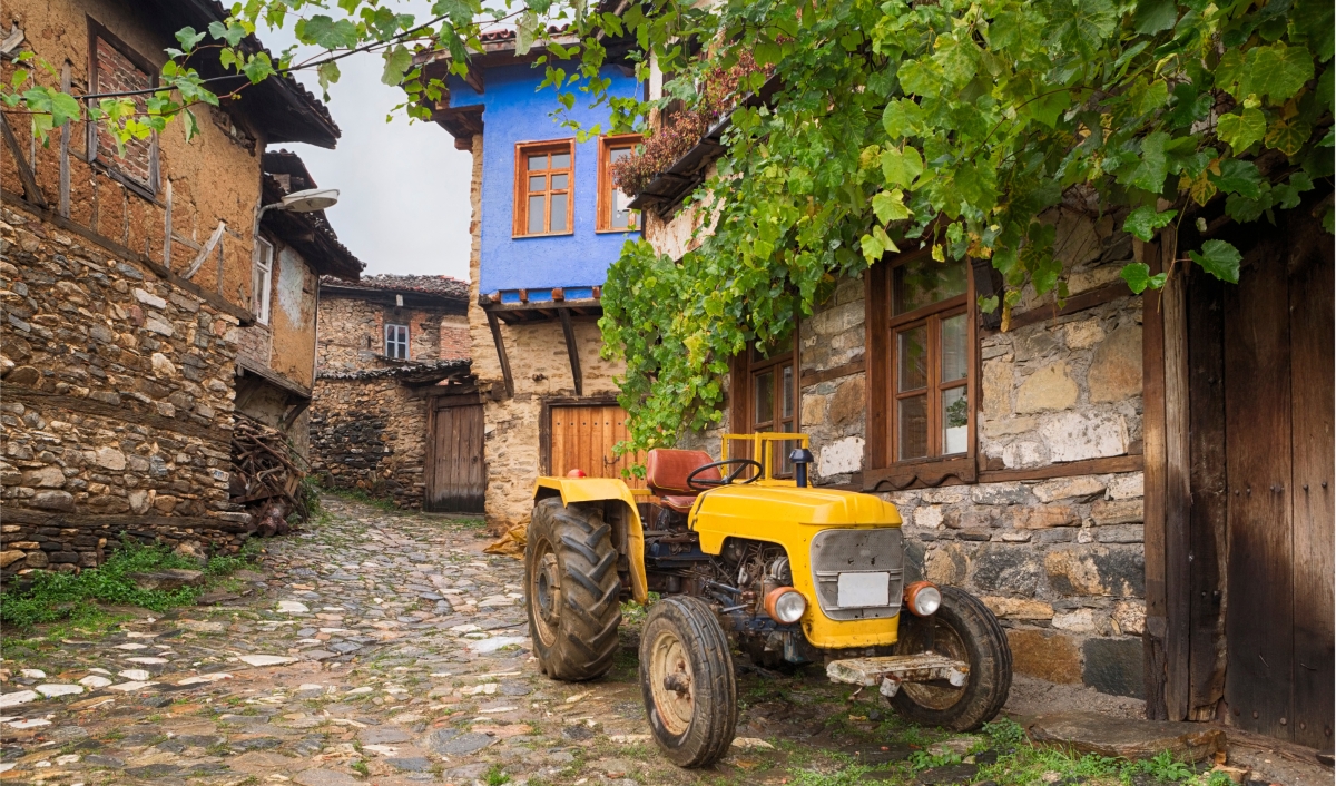 Daily Cumalikizik Ottoman Village Tour from Istanbul photo 7