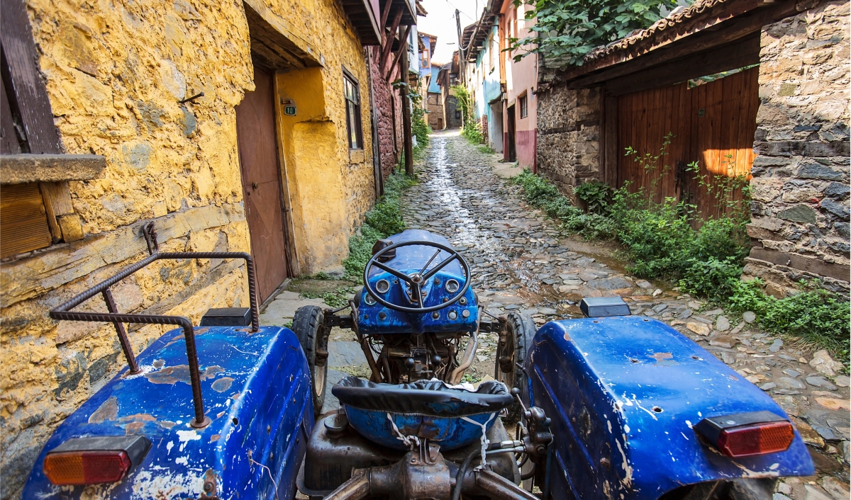 Daily Cumalikizik Ottoman Village Tour from Istanbul photo 8