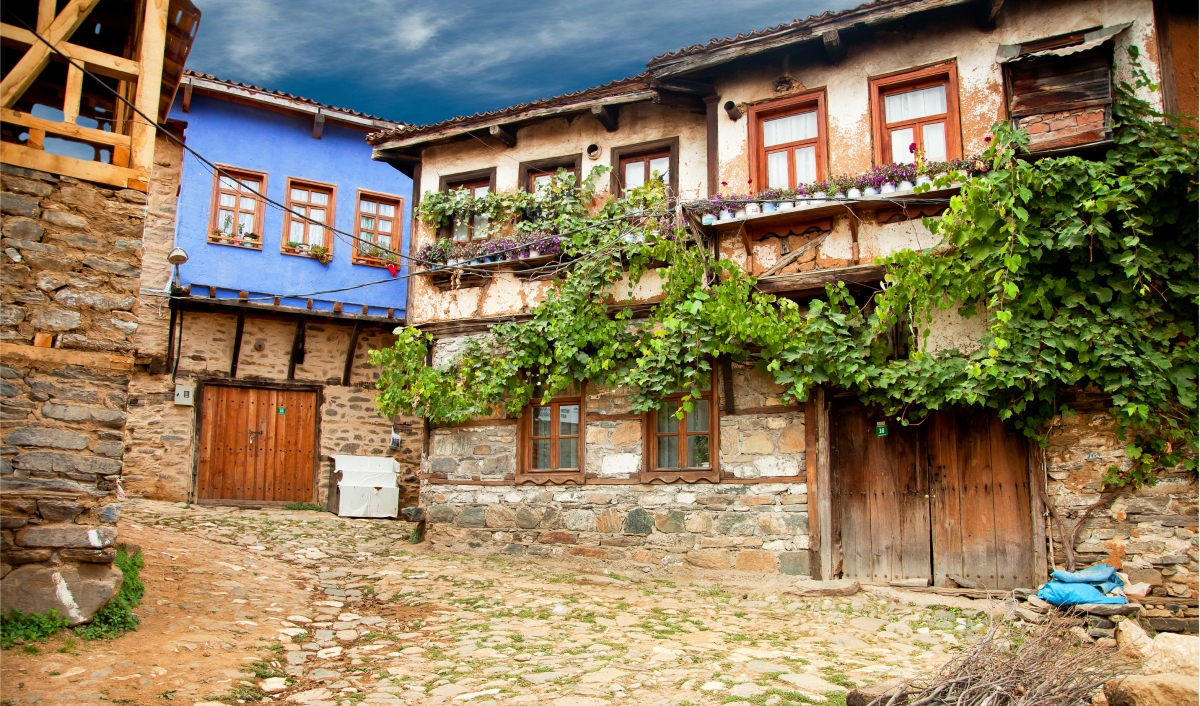 Daily Bursa & Cumalikizik Ottoman Heritage Tour from Istanbul photo 5